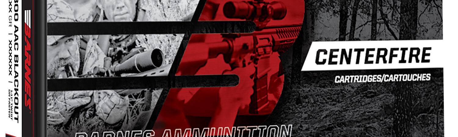 Barnes Bullets 32108 Centerfire Rifle  243Win 100gr Jacketed Hollow Point BT 20 Per Box/10 Case