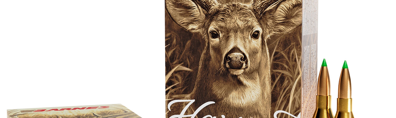 Barnes Bullets 32398  Harvest 243Win 90gr Sierra Tipped GameKing 20 Per Box/10 Case