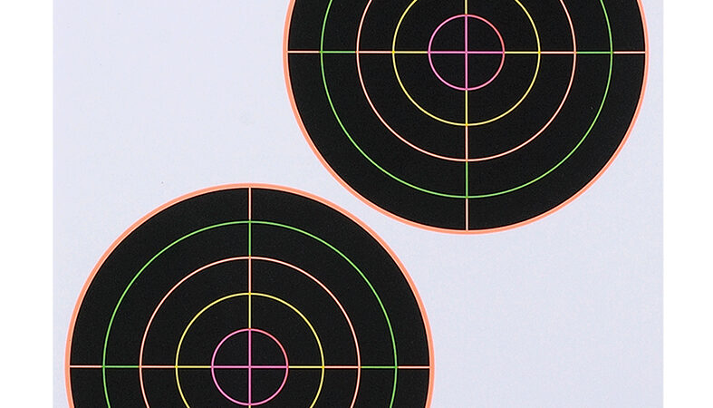 Champion Targets 45826 VisiColor  5" Double Bullseye Paper Self-Adhesive 8.50" x 11" Multi-Color 10 Pack