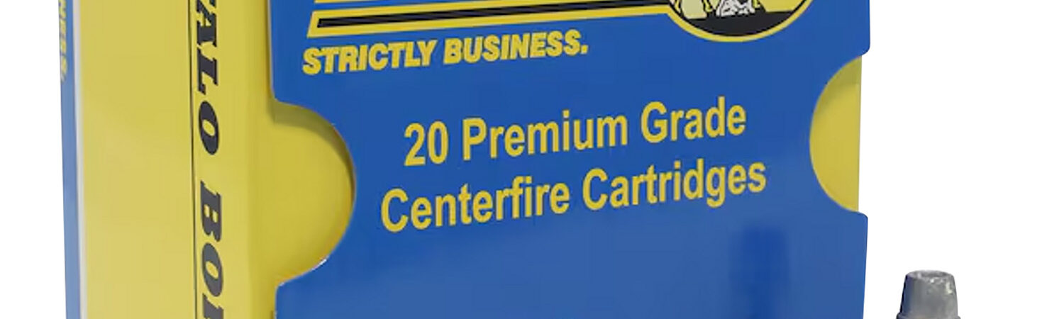 Buffalo Bore Ammunition 20A20 Heavy Strictly Business 38Special +P 158gr Soft Cast Hollow Point 20 Per Box/12 Case