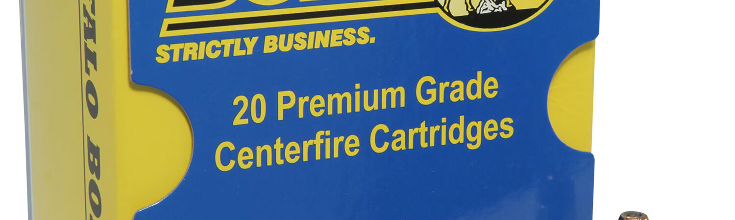 Buffalo Bore Ammunition 8G Buffalo-Barnes Strictly Business 45-70Gov 350gr Barnes TSX Flat Nose Lead Free 20 Per Box/12 Case