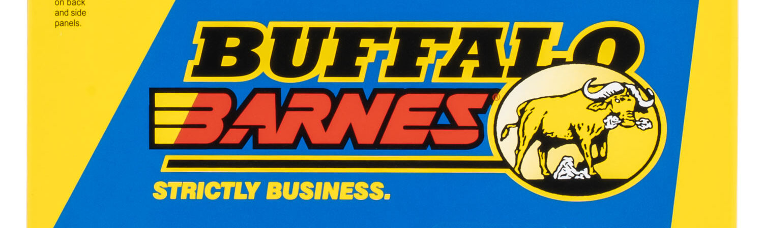 Buffalo Bore Ammunition 54C20 Buffalo-Barnes Strictly Business 375H&H Mag 270gr Barnes TSX Lead Free 20 Per Box/12 Case