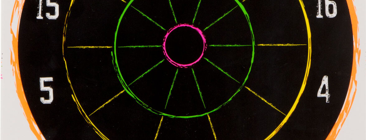 Champion Targets 45825 VisiColor Dartboard Hanging Paper Multi Color 11"x14" Dart Board 10 Pack