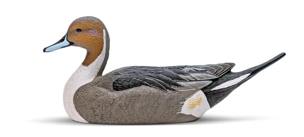 Rig'Em Right Mainline Series Pintail Duck Decoy 6/ct