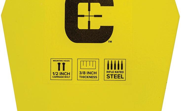 Caldwell AR500 10" Coffin Target