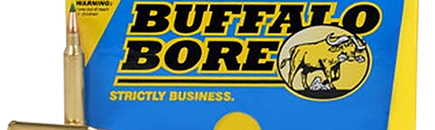 Buffalo Bore Ammunition S2235520 Sniper Strictly Business 223Rem 55gr Ballistic Tip 20 Per Box/12 Case