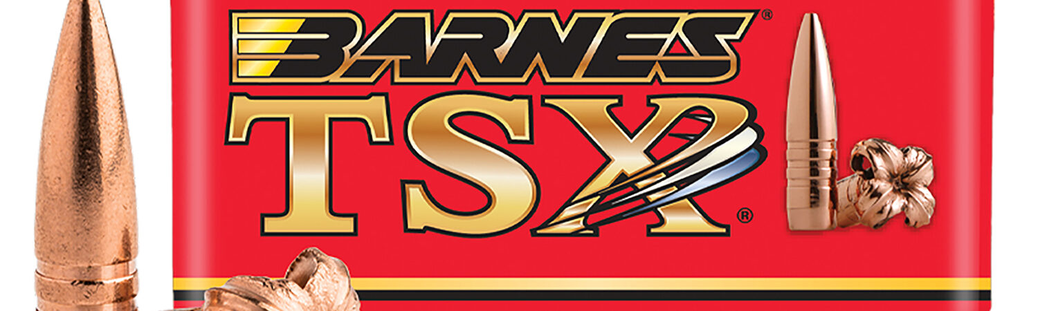 Barnes Bullets 32248   28Nosler 162gr TSX Boat Tail 20 Per Box/10 Case