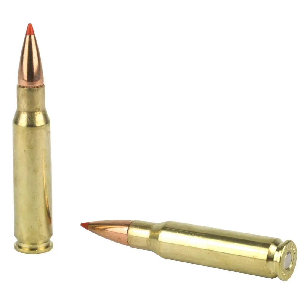 19333-14142129.webp