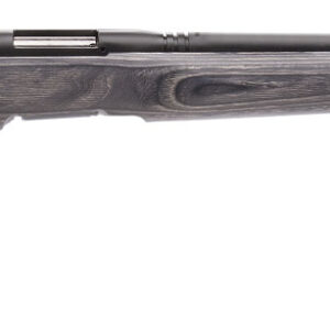 Savage Arms 96970 B.MAG  Full Size 17 WSM 8+1 22" Matte Black Heavy Barrel, Matte Black Drilled & Tapped Carbon Steel Receiver, Satin Gray Varmint Beavertail Laminate Stock, Right Hand