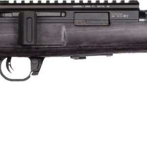 WAI HAM FRC B1 22LR GRY 10RD