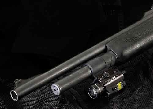 69265_on-shotgun.jpg