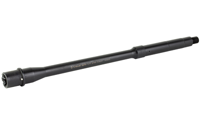 BABL556035M_2.jpg