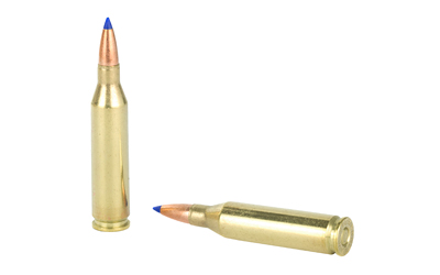 BB243W1_4.jpg