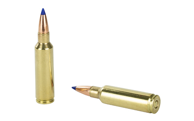 BB300WSM2_4.jpg