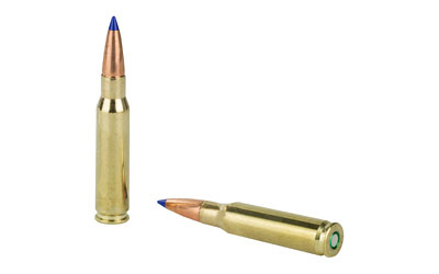 BB308W1_4.jpg