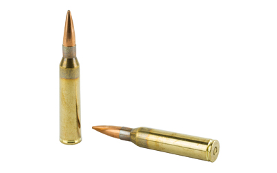 BB338LMM1_4.jpg