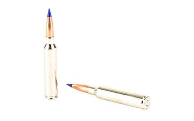 BBLR300PRC01_4.jpg
