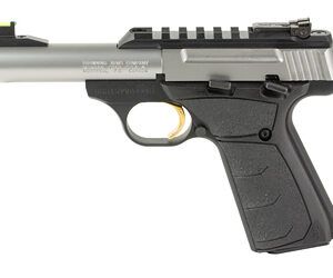 BRN BM PLUS MICRO BULL 22LR 10RD STS
