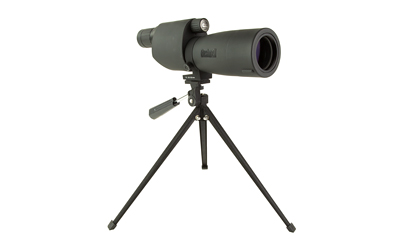 BS783618X_2.jpg