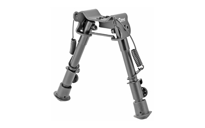 CAL1081950_2.jpg