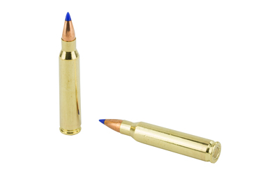 F223HVB50_4.jpg