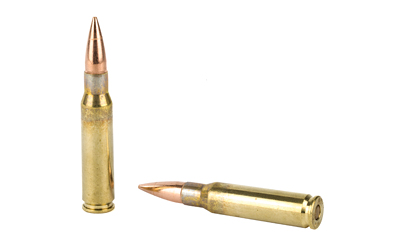 F308A_4.jpg