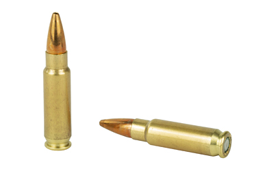 FN10700012_4.jpg