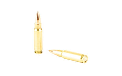 FN10700032_4.jpg