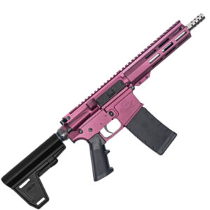 223WYLDE PSTL W/BRC SS 30R CHY