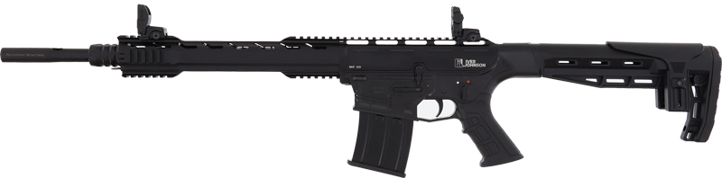 GMF20_LEFT.jpg