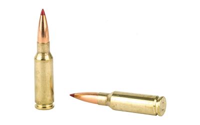 H81528_4.jpg