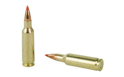 H81531_4.jpg