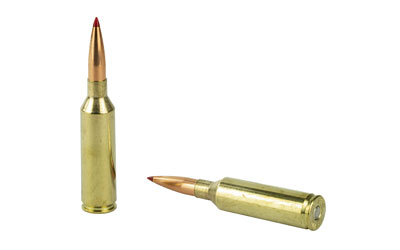 H81620_4.jpg