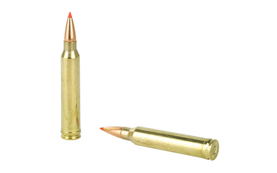 H82193_4.jpg
