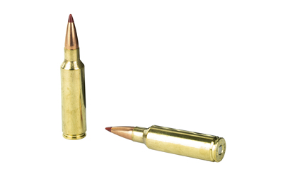 H82208_4.jpg