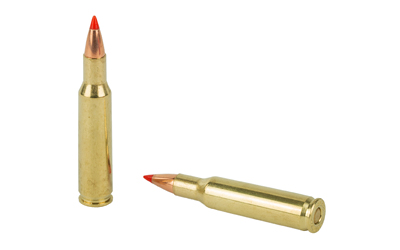 H8316_4.jpg