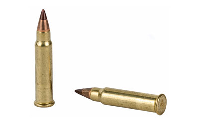 H83171_4.jpg