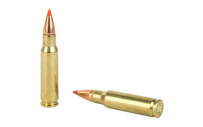 H8347_4.jpg