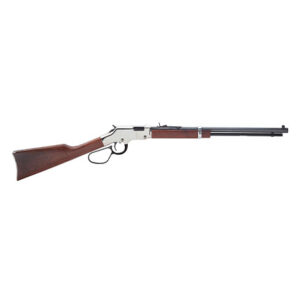 HEN H4 GB Silver 22LR Lg-Lp