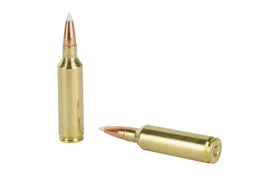 NOS60030_4.jpg
