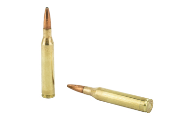REM21515_4.jpg