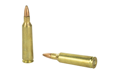REM23813_4.jpg