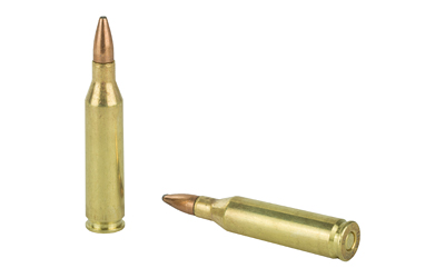 REM27800_4.jpg