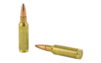 REM27954_4.jpg