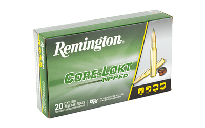 REM29021_2.jpg