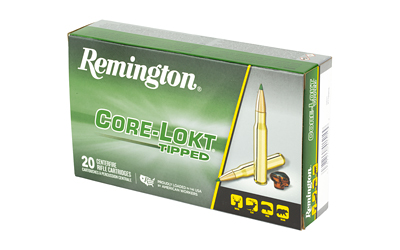 REM29021_3.jpg