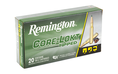 REM29041_2.jpg