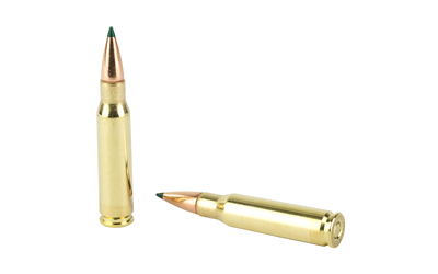 REM29041_4.jpg