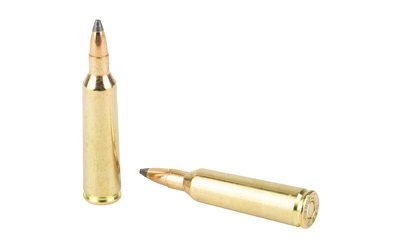 SB22250B_4.jpg