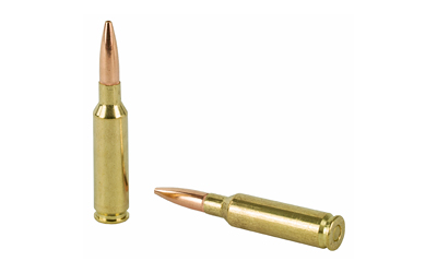 WNUSA65CMVP_4